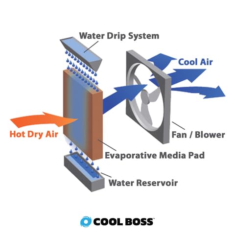 BendPak Cool Boss Evaporative Air Cooler, 50-Gallon Auto-Refill Reservoir, 7,540 CFM, Covers 4,150 Sq. Ft., for Indoor/Outdoor, Patio, Garage, Commercial Use - Image 9